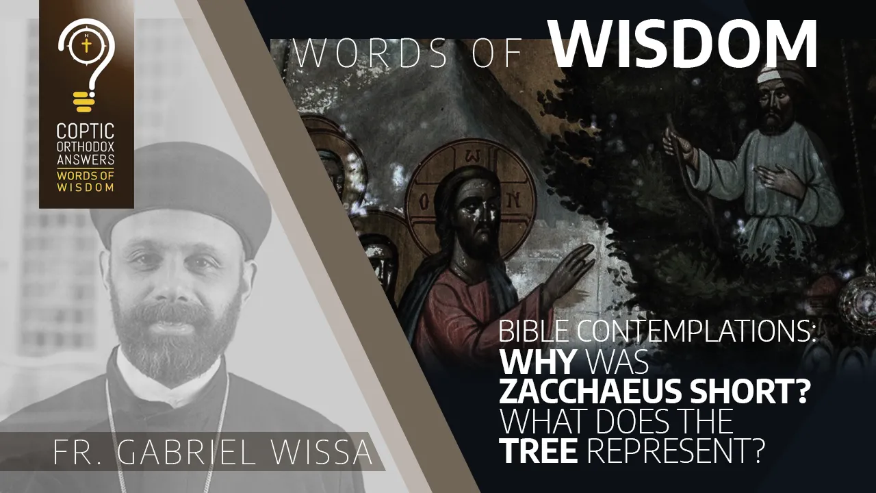 Bible contemplations : Why was Zacchaeus short? What does the tree represent?